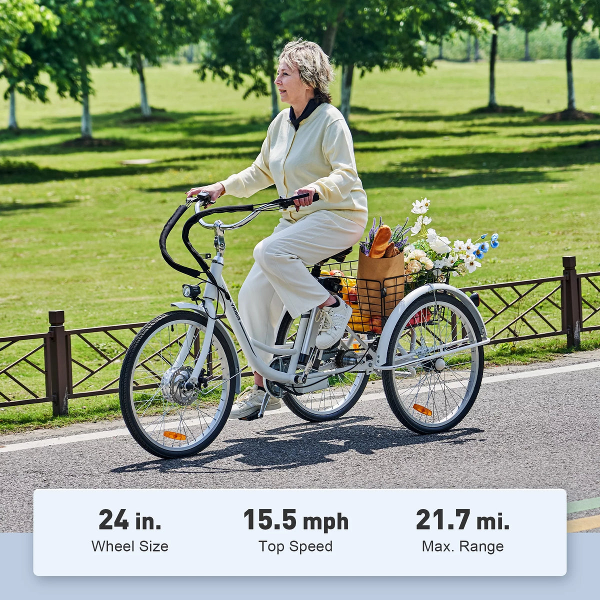 24 Inch 350W Electric Tricycle D201