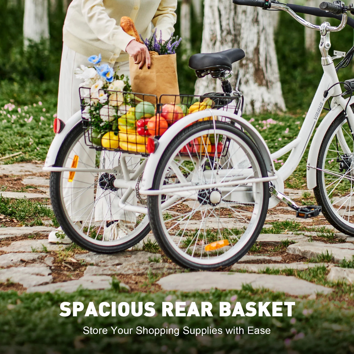 24 Inch 350W Electric Tricycle D201