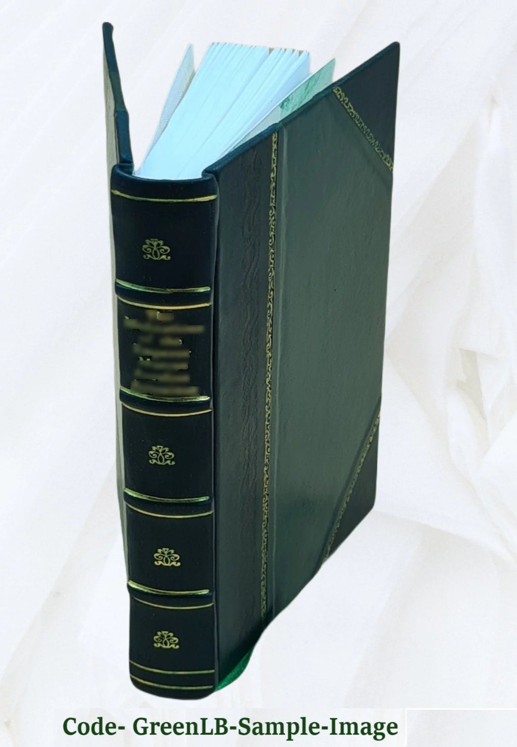 Leather Bound Book J20412