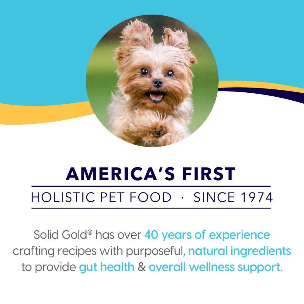 Solid Gold Small Breed Dry Dog Food I2480