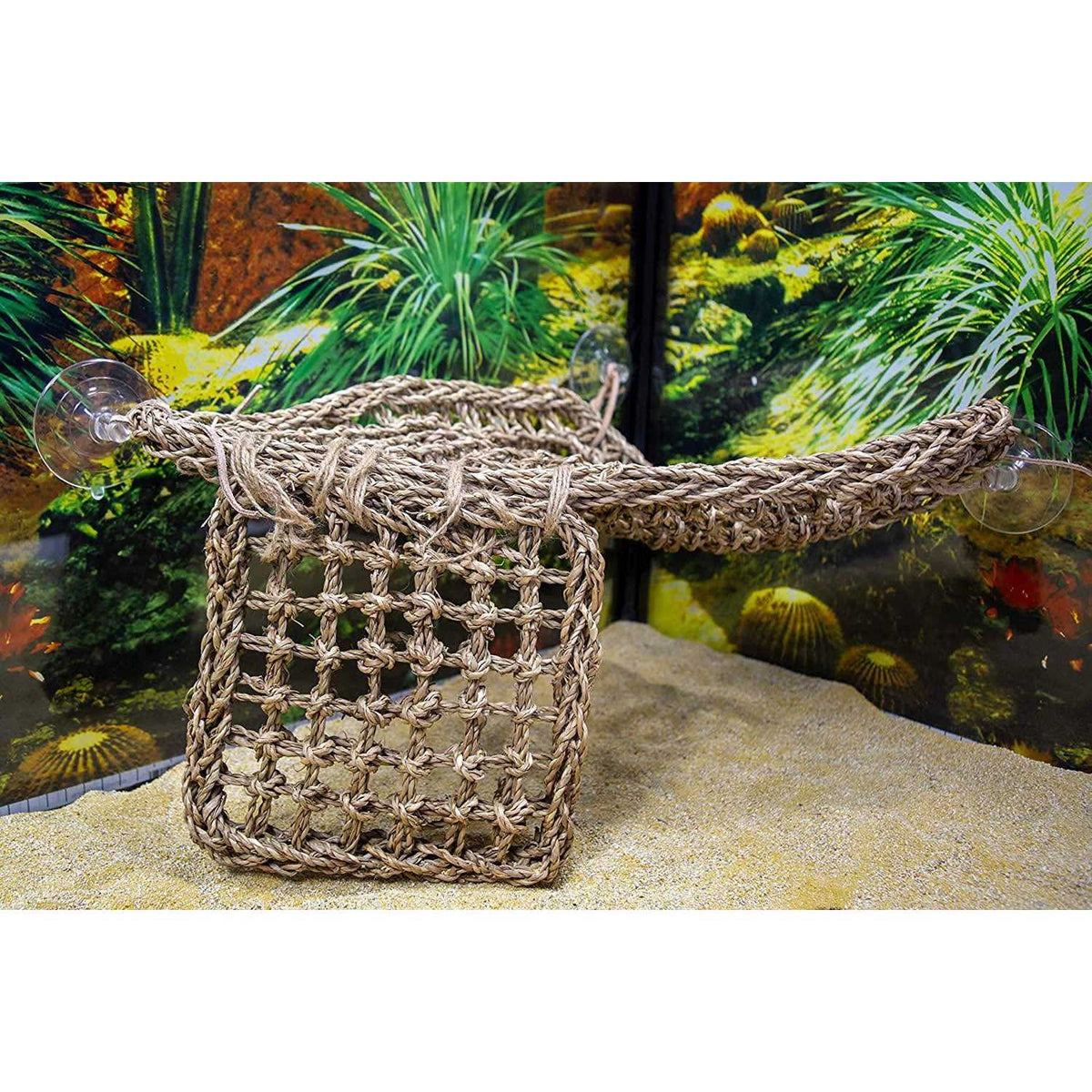 Lizard Lounger Y89977